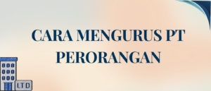 Panduan Cara Mengurus PT Perorangan Efektif