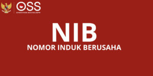 Panduan Mudah Cara Mengurus NIB PT Anda